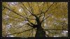 comp_DSC01038.jpg