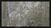 comp_DSC01039.jpg
