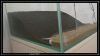 comp_DSC09711.jpg