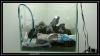 comp_DSC09786.jpg