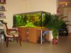00296_5098.jpg