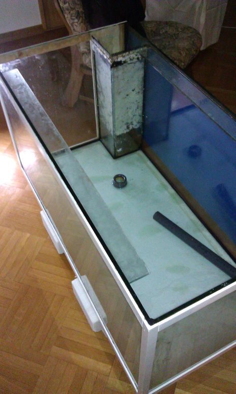 IMAG0093.jpg