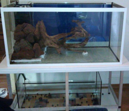 IMAG0108.jpg