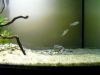 2012-12-29-x3.jpg