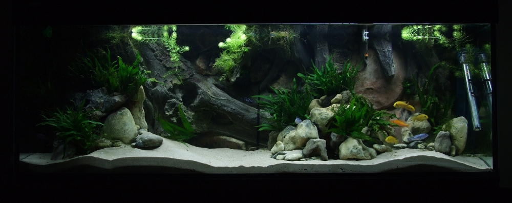 DSCF7043.JPG