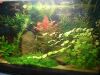 Besatz_45_l_Becken___Funkensalmler,_Red_Fire.jpg